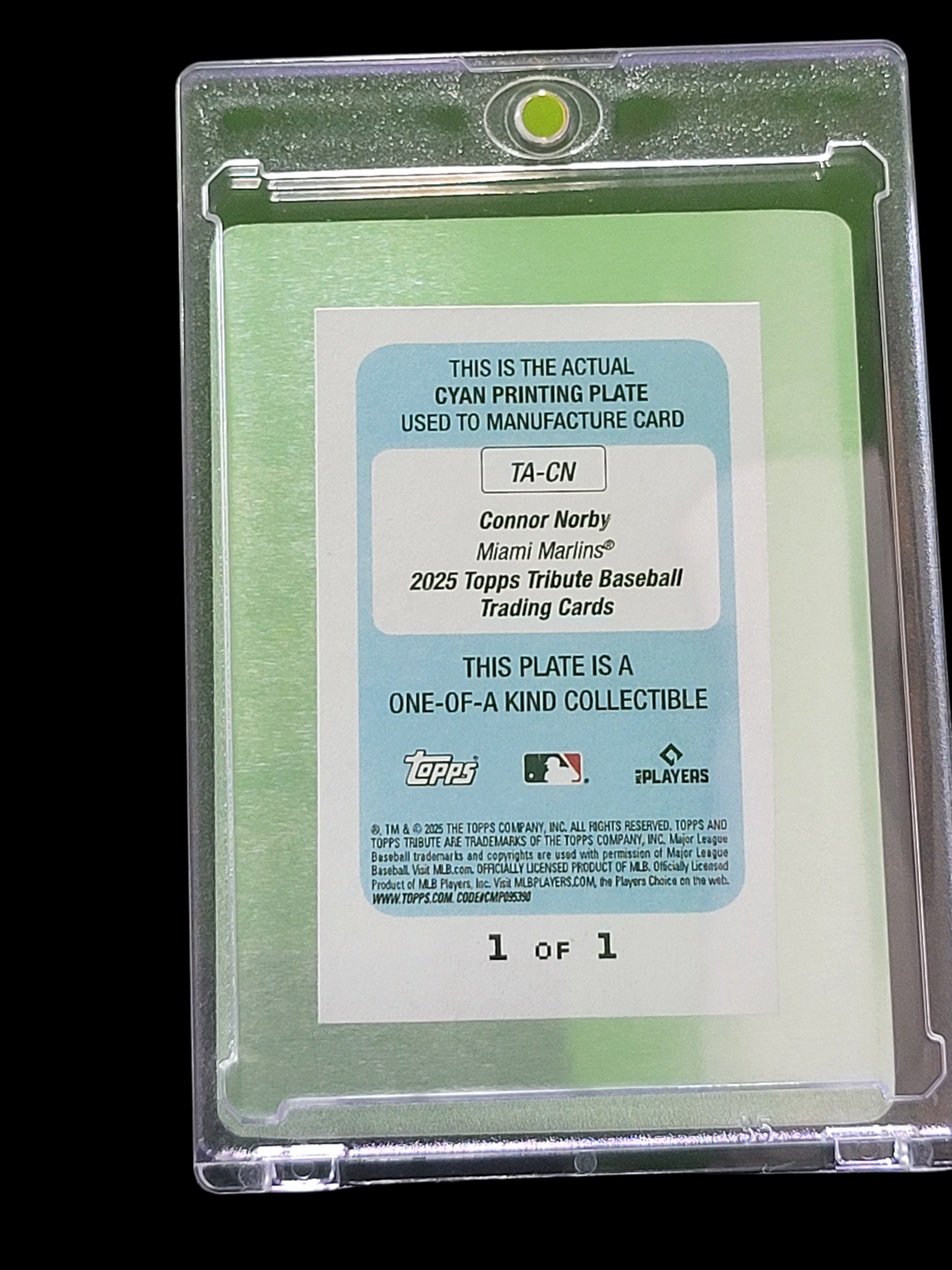 2025 Topps Tribute Connor Norby #TA-CN Cyan Printing Plate