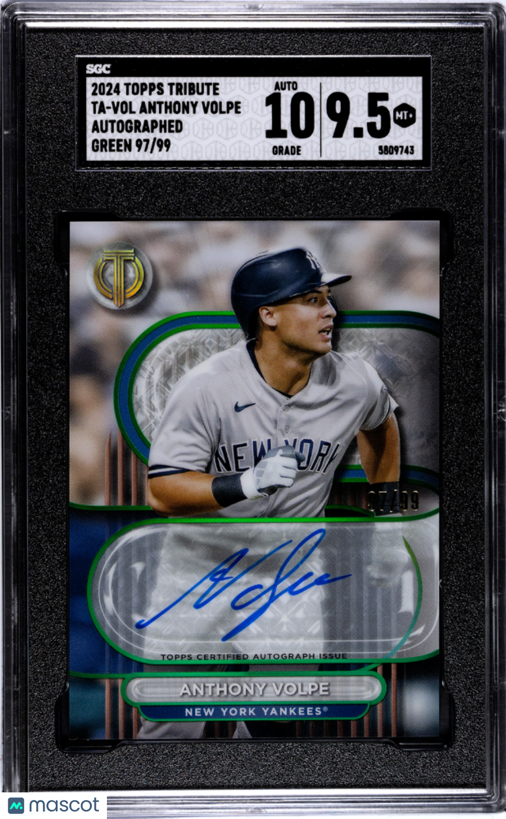 2024 Topps Tribute Anthony Volpe #TA-VOL Autograph Green SGC 9.5 Auto 10